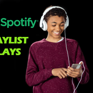 spotify playlist plays